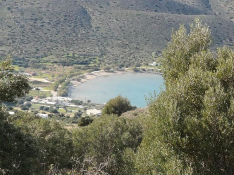 Kavousi Kreta: 4 Baugrundstücke mit Meerblick in der Nähe von Kavousi zu verkaufen Grundstück kaufen
